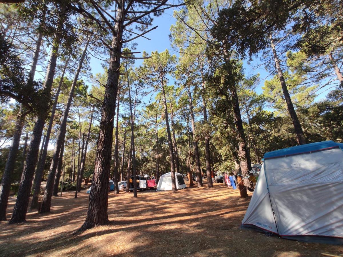 Camping Arutoli Porto-Vecchio  Eksteriør billede